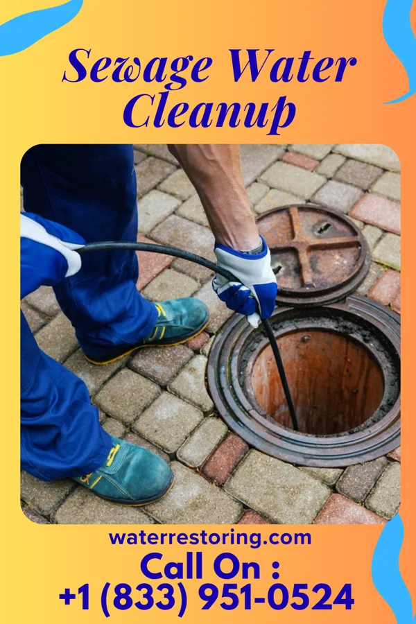 Sewage Water Cleanup in North Kingsville, OH